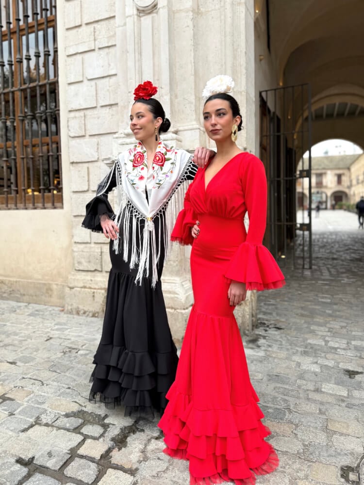 Vestido Rojo Vista Trasera Con Cremallera